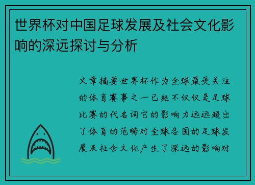 世界杯对中国足球发展及社会文化影响的深远探讨与分析