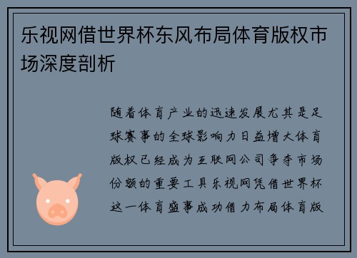 乐视网借世界杯东风布局体育版权市场深度剖析